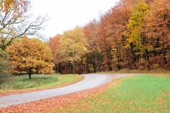 21) 06 novembre 2016 - Ultimi scorci d'autunno